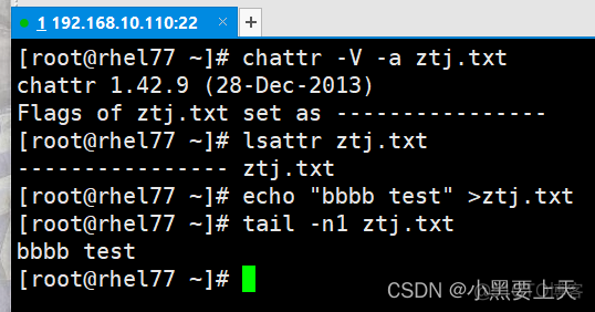 Linux命令(5)之chattr_修改文件_07