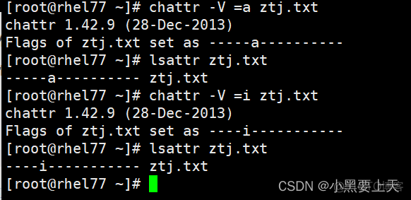 Linux命令(5)之chattr_txt文件_08