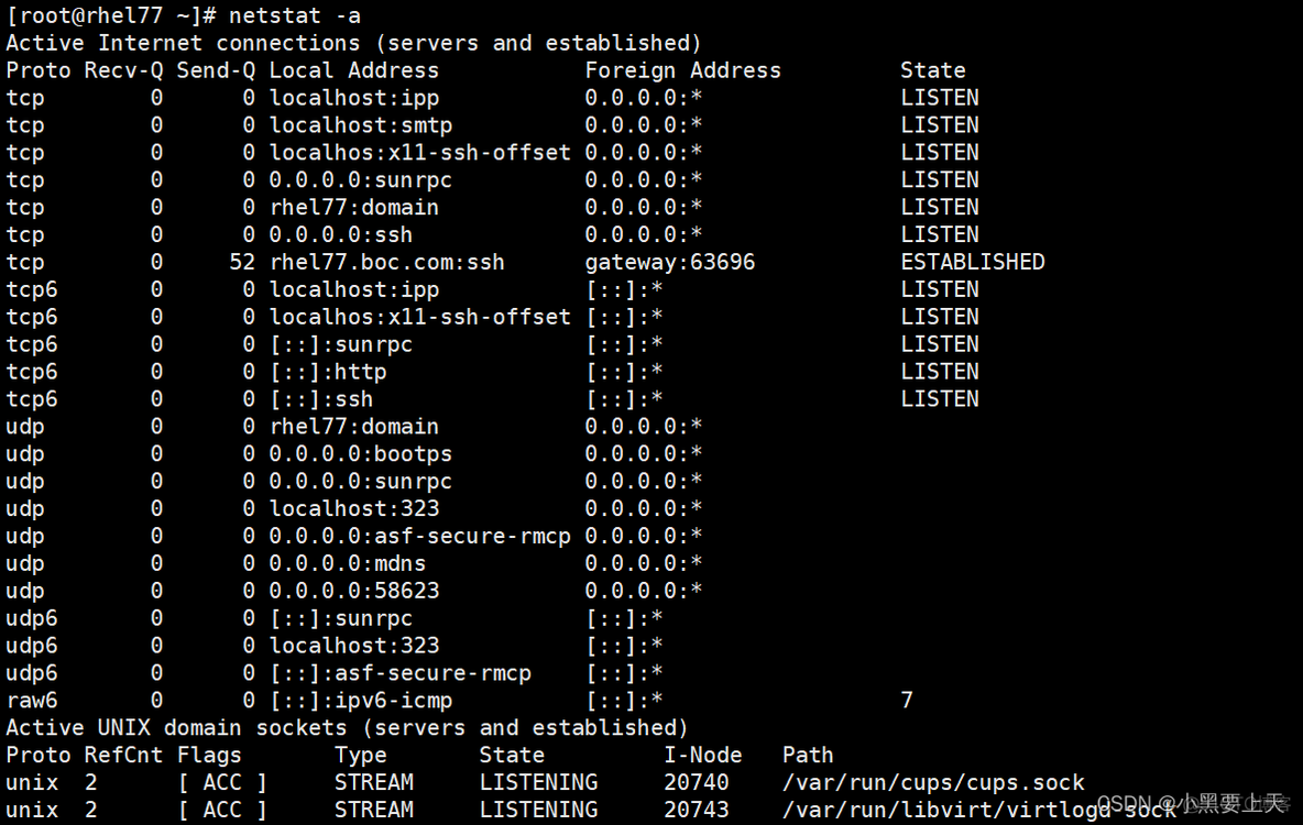 Linux命令(2)之netstat_套接字