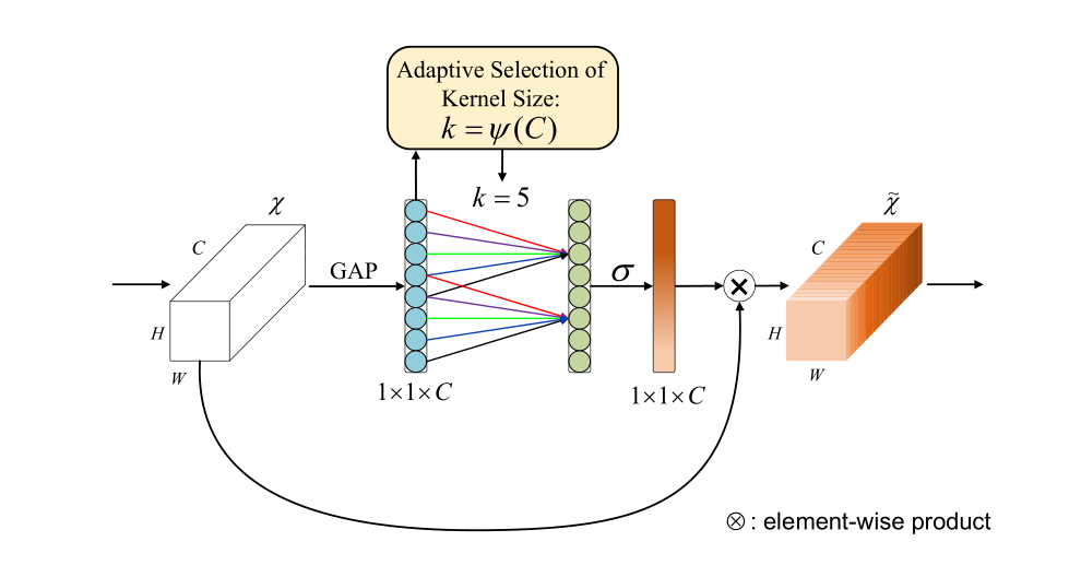 2020 ECA-Net CVPR_卷积核