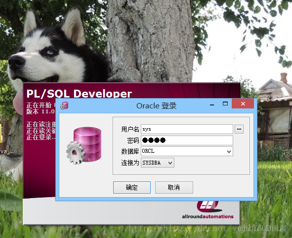 Oracle之PLSQL(PLSQL Developer)安装、注册、汉化-yellowcong_用户名_20