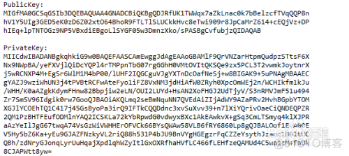 java根据私钥生成公钥 java rsa 私钥加密_java根据私钥生成公钥_07