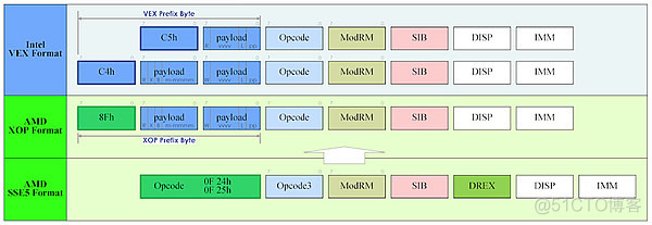 Avalonia支持哪些架构的CPU avx的cpu_寄存器_11