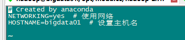 hadoop -3.1.3高可用 hadoop高可用搭建_xml_05