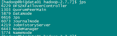 hadoop -3.1.3高可用 hadoop高可用搭建_hadoop_20