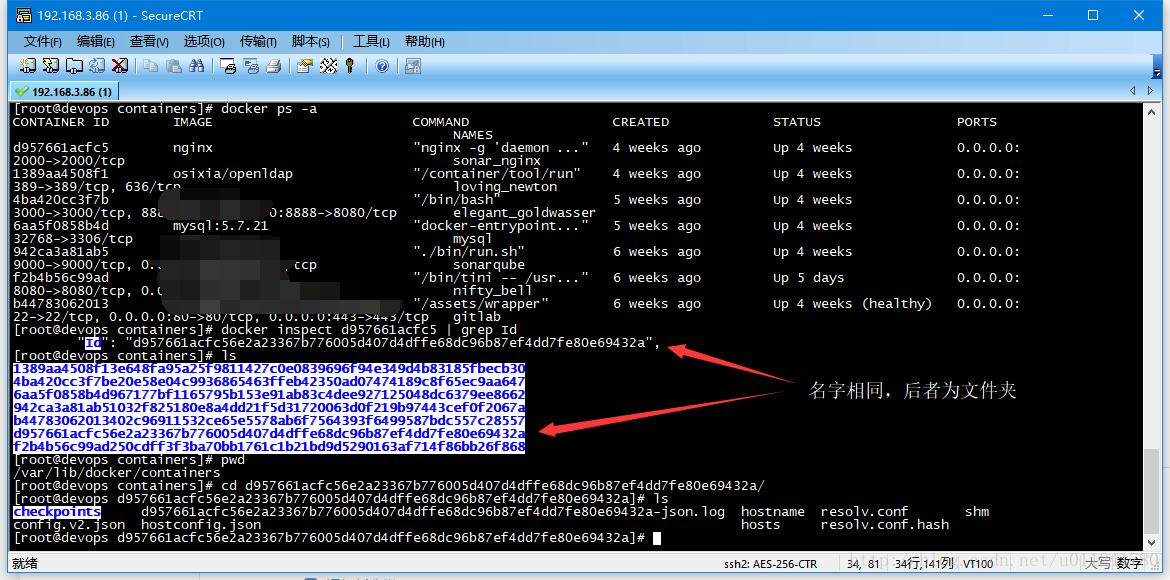 Docker修改ip docker修改容器端口_Docker修改ip