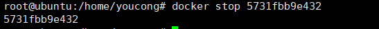 docker 容器 使用 nohup docker容器实战_docker_11