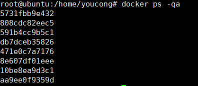 docker 容器 使用 nohup docker容器实战_bash_12