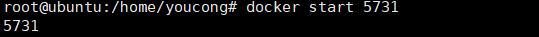 docker 容器 使用 nohup docker容器实战_Docker_13