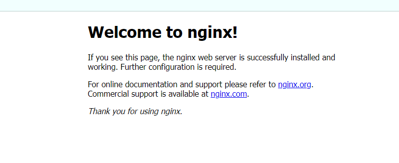 docker nginx 找不到路径 docker nginx 目录_docker