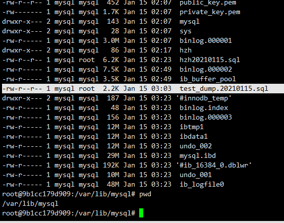 docker mysql 数据库备份 docker mysql 数据迁移_mysql_08