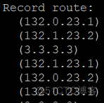 记录路由和源站路由实验（GNS3 + wireshark）_IP_13