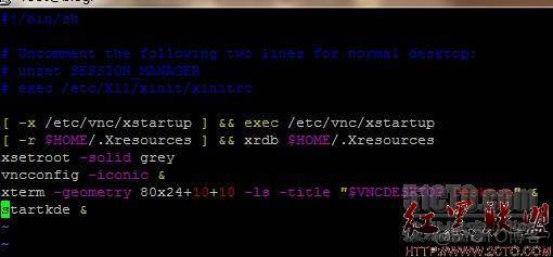 linux使用VNC服务轻松远程安装oracle_桌面环境_04