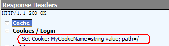 Cookie大总结_javascript