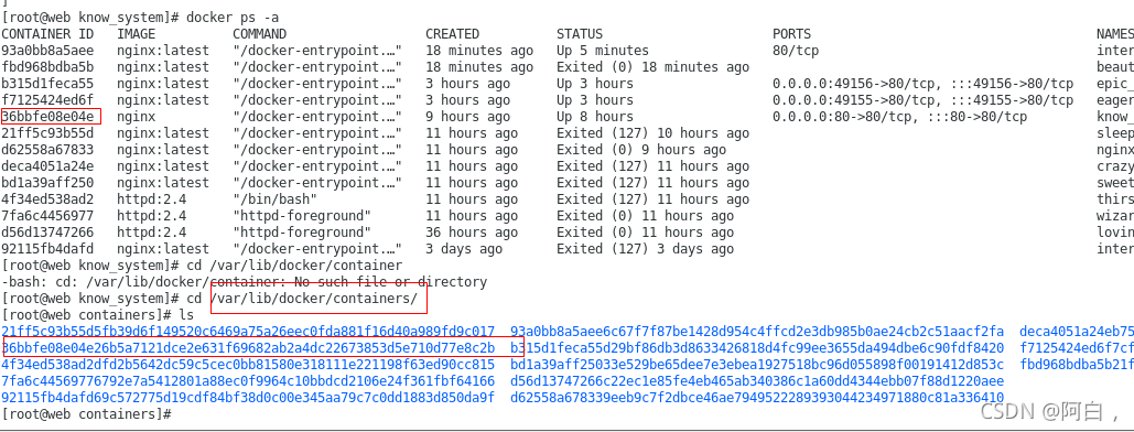 docker run -P 指定多个端口 docker绑定多个端口_nginx_03