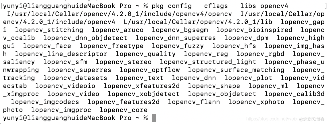 homebrew 安装MongoDB homebrew 安装vscode_c++_02