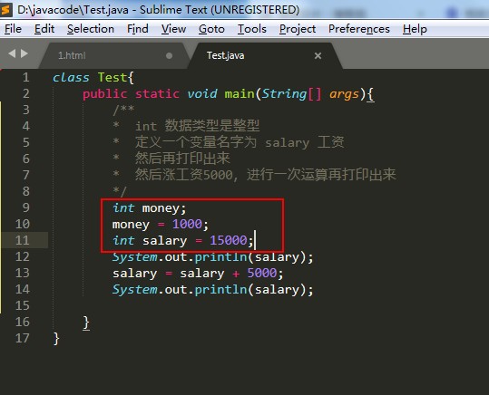 java 函数里的变量 java变量怎么用_数据类型