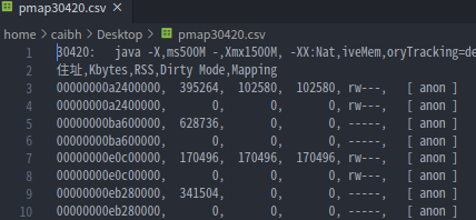 java dump 内存分析 java分析内存占用_JVM_02