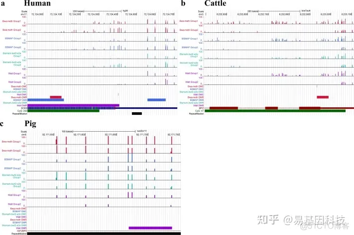 biojava基因比对 基因测序比对_biojava基因比对_09