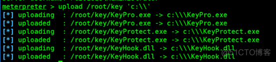 meterpreter + 键盘记录_远程登录_06