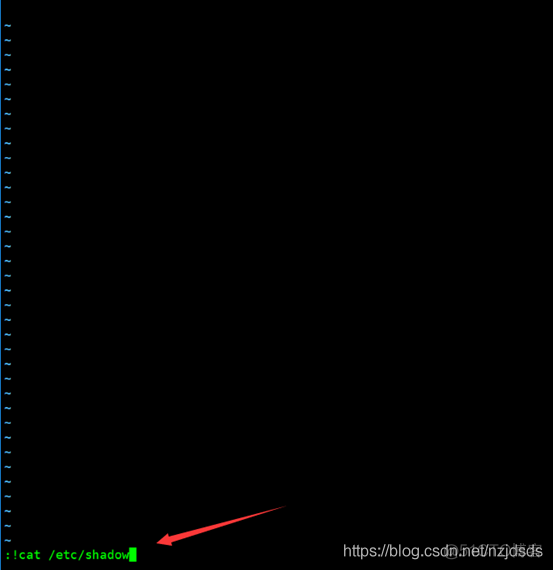 CVE-2019-14287：sudo 权限绕过漏洞（复现过程）_vim_06