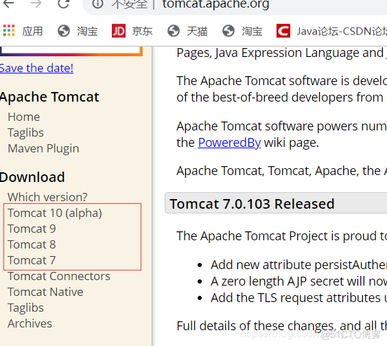 javaee建立动态网页 java动态网站_Apache_03