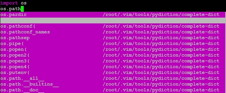 vim python 补全 vim python 自动补全_vim python 补全_03