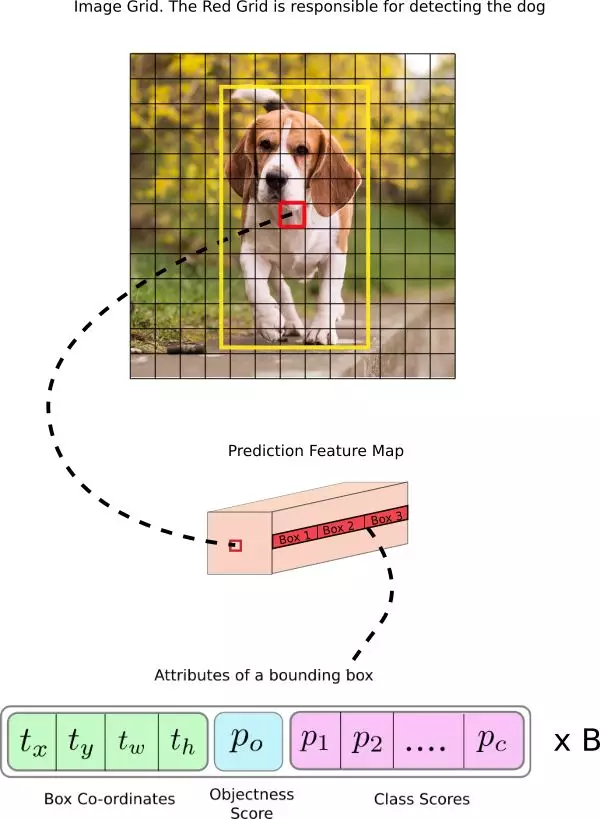 python写前向传播算法 pytorch 前向传播_Pytorch