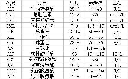 百度飞桨(PaddlePaddle) - PP-OCRv3 文字检测识别系统 Paddle Inference 模型推理_bc_14