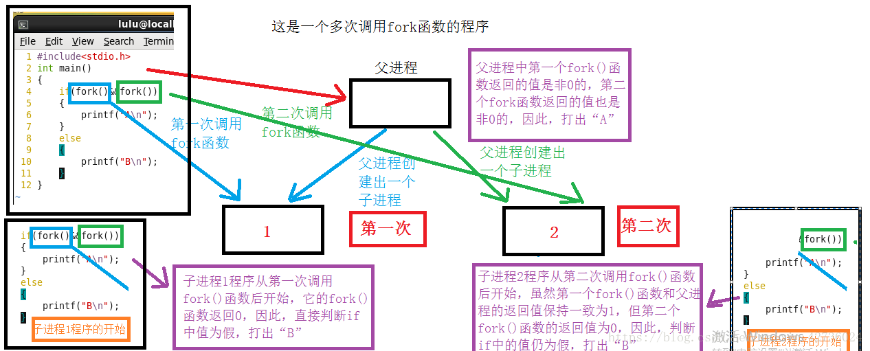 python 子进程 父进程 fork子进程和父进程_子进程_05