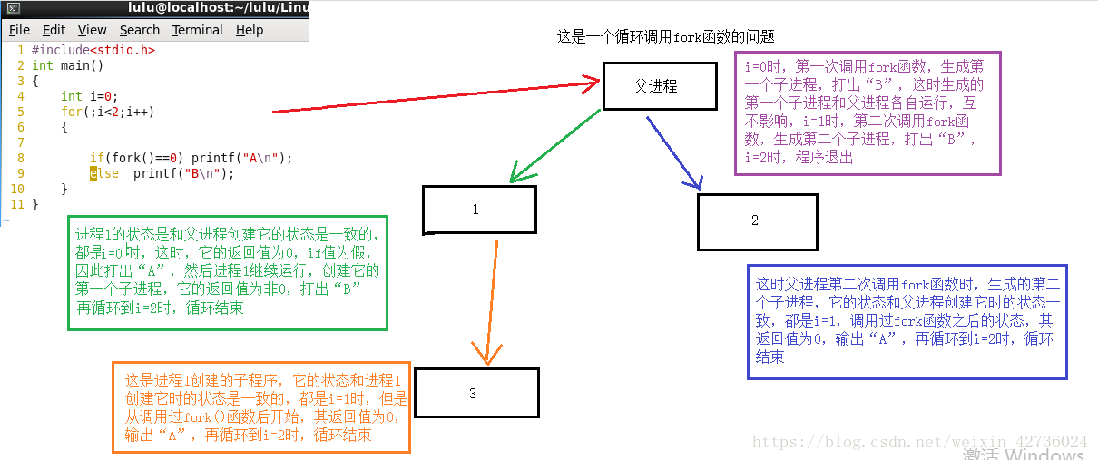 python 子进程 父进程 fork子进程和父进程_子进程_08