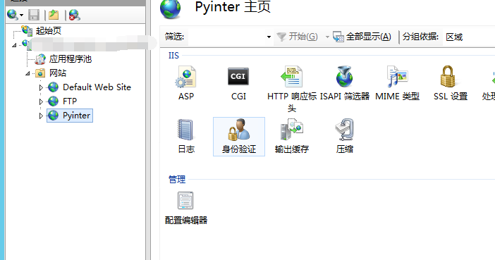 python iis 配置 iis部署python服务_python iis 配置_10