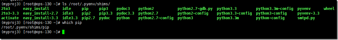 python 虚拟环境 守护 python虚拟环境管理工具_python 虚拟环境 守护_13