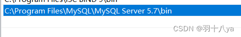 mysqle详细安装教程 mysql安装教程详细教程_数据仓库_17