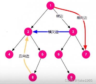 Tarjan 算法_算法