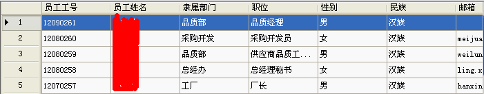 C# — WinForm DataGridView篇_数据_04