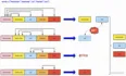 图解LeetCode——1408. 数组中的字符串匹配（难度：简单）