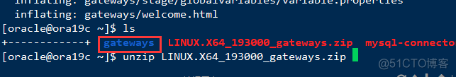 oracle 透明网关访问mysql数据库 linux系统_bc_04