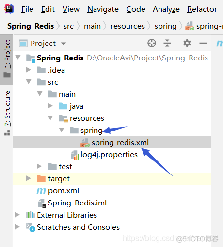 spring redis实战 spring结合redis_spring_02