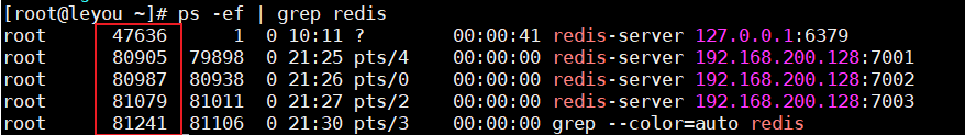 查看redis 状态 查看redis进程_杀死进程