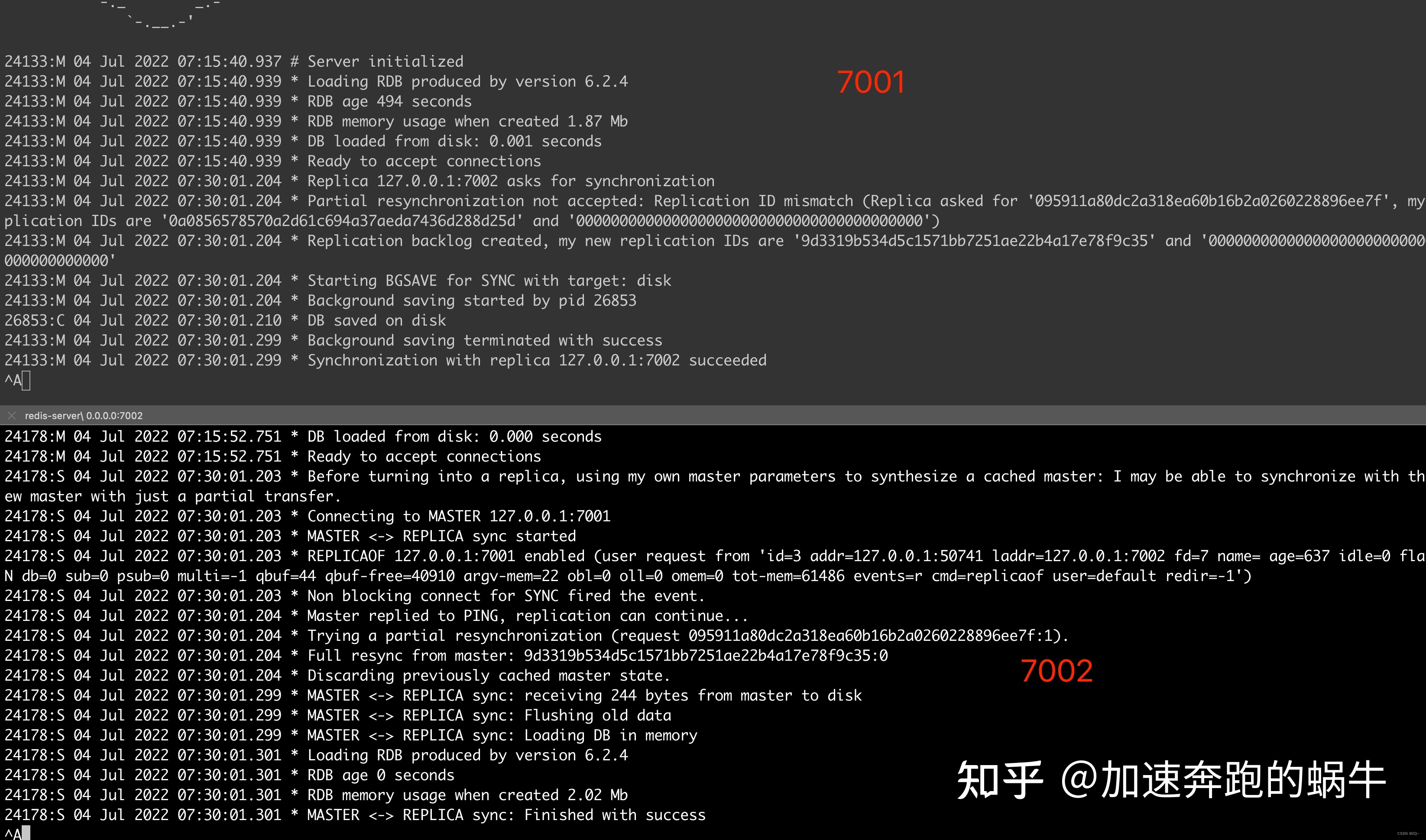 swarm redis 主从 redis主从模式原理_数据库_11