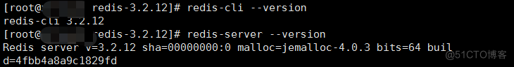 redis 查看 版本 redis查看当前版本_redis安装_03
