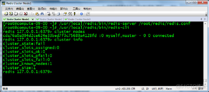 Redis <wbr>Cluster搭建方法简介