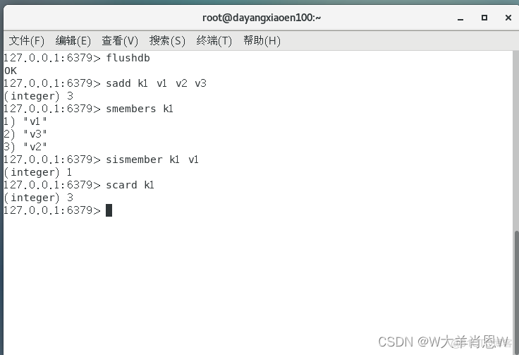 redis set 多个值 redis中set_常用命令_03