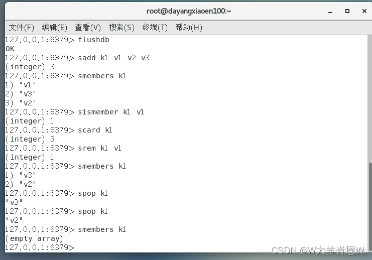 redis set 多个值 redis中set_数据_05