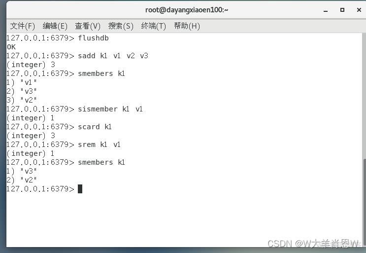 redis set 多个值 redis中set_数据库_04