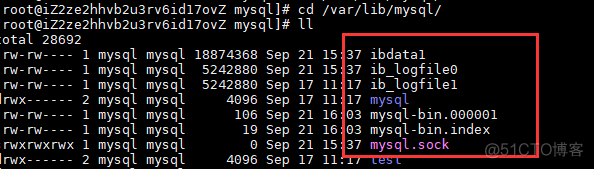 mysql 存储历史数据 mysql记录_mysql 存储历史数据_11