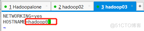 hbase是分布式存储吗 hbase分布式搭建_hadoop_06