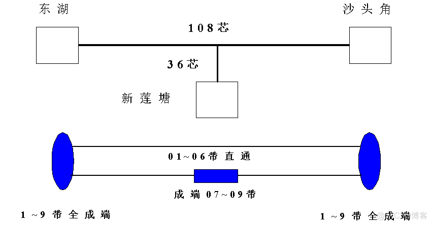 光接入网络架构 光接入网拓扑结构_关联关系_03