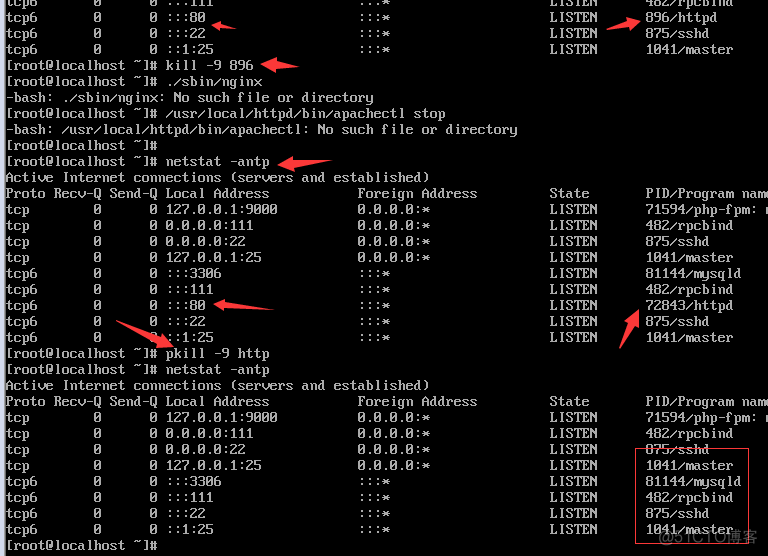 lamp架构lnmp架构 lnmp架构是什么_mysql_06